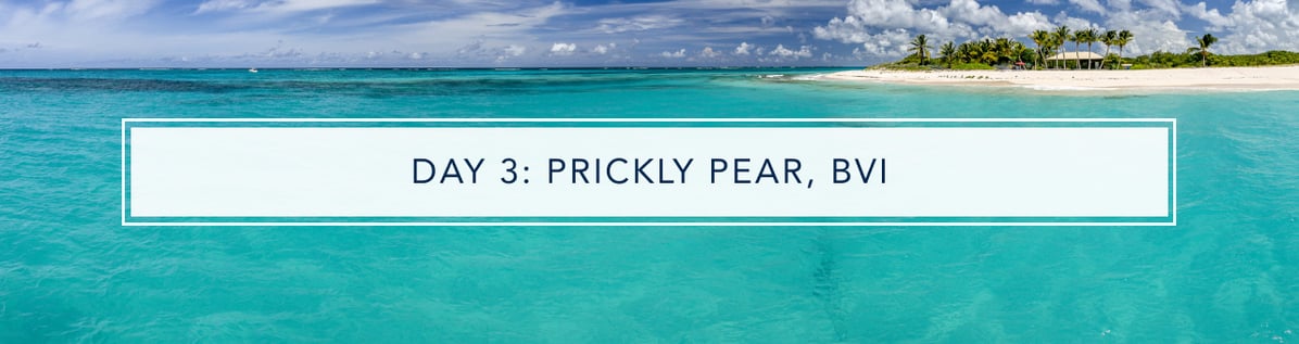 Day 3 - PRICKLY PEAR, BVI 12548