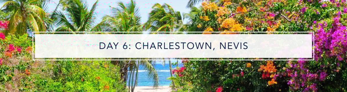 Day 6 - CHARLESTOWN, NEVIS 12548