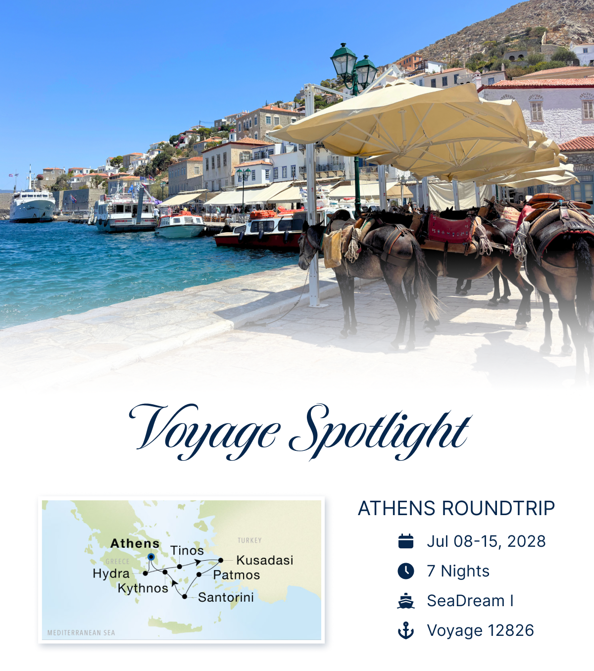 Spotlight 12826