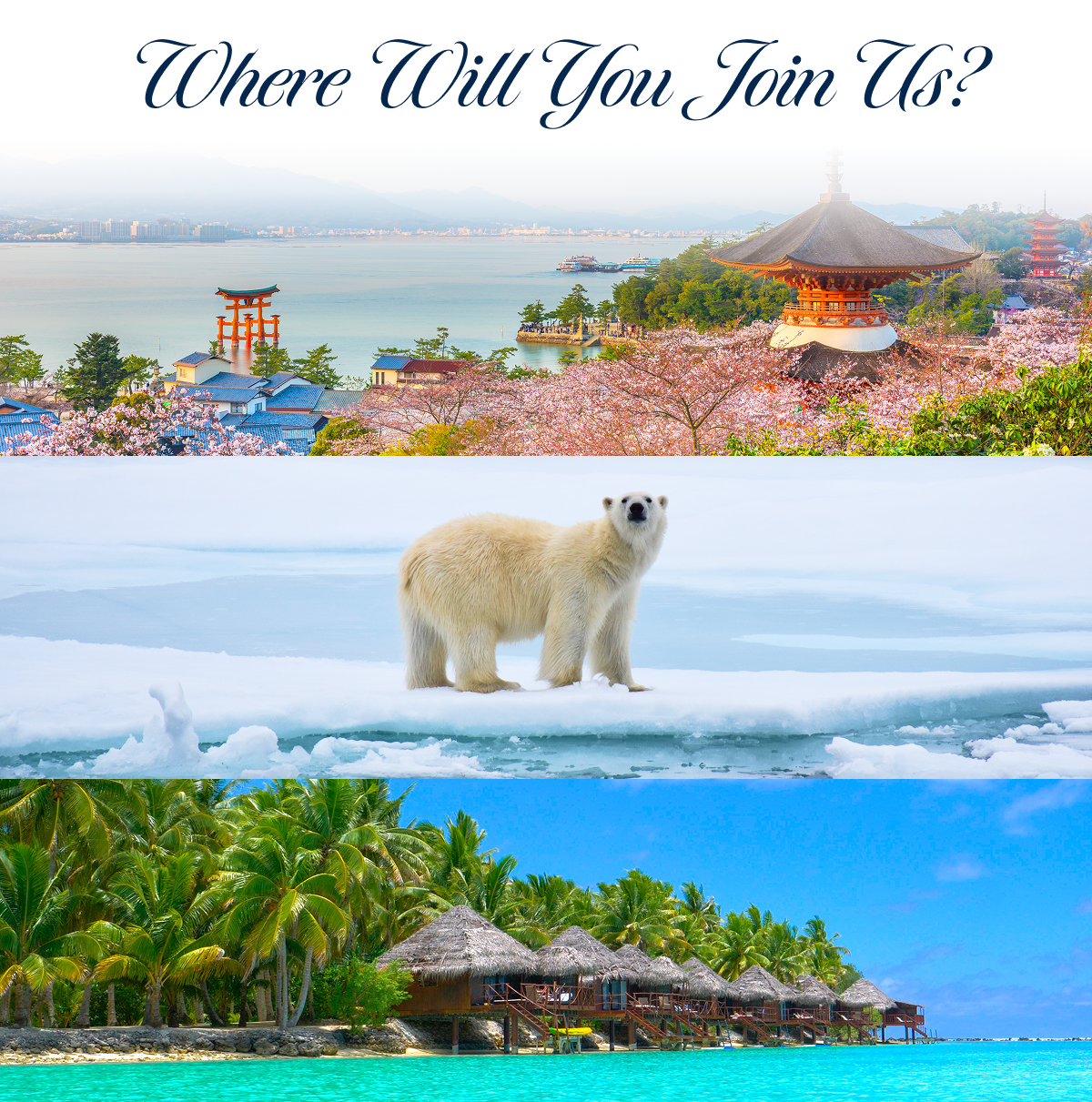 Where will you join us