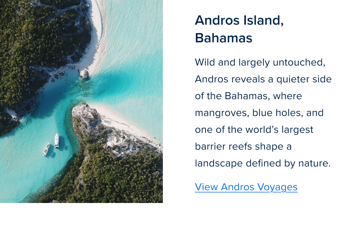 Zig Zag Component 1-Apr-09-2026-02-17-37-1483-PM