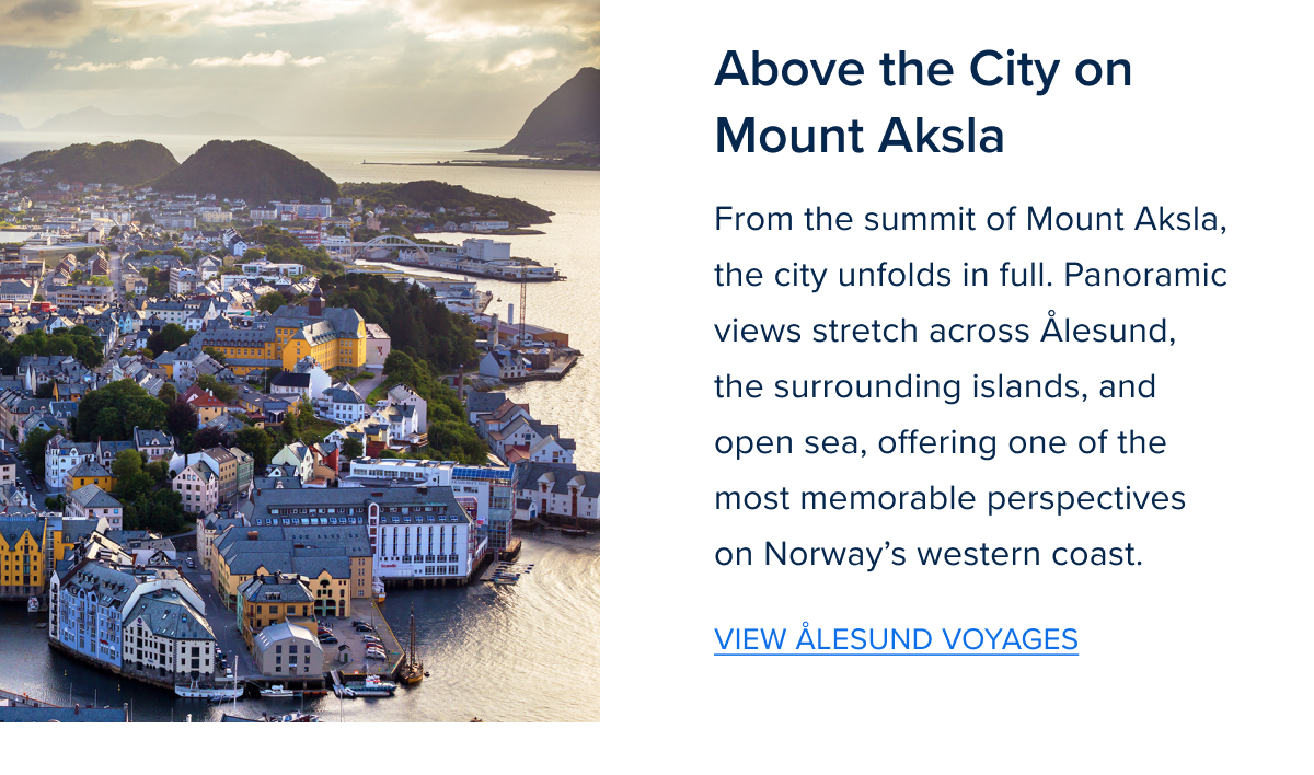 Zig Zag Component 1-Jan-13-2026-08-21-39-4273-PM