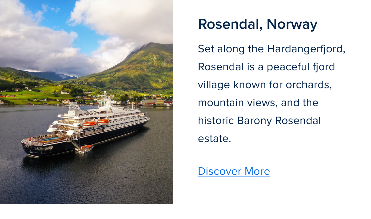 Zig Zag Component 1-Mar-23-2026-01-47-12-2575-PM