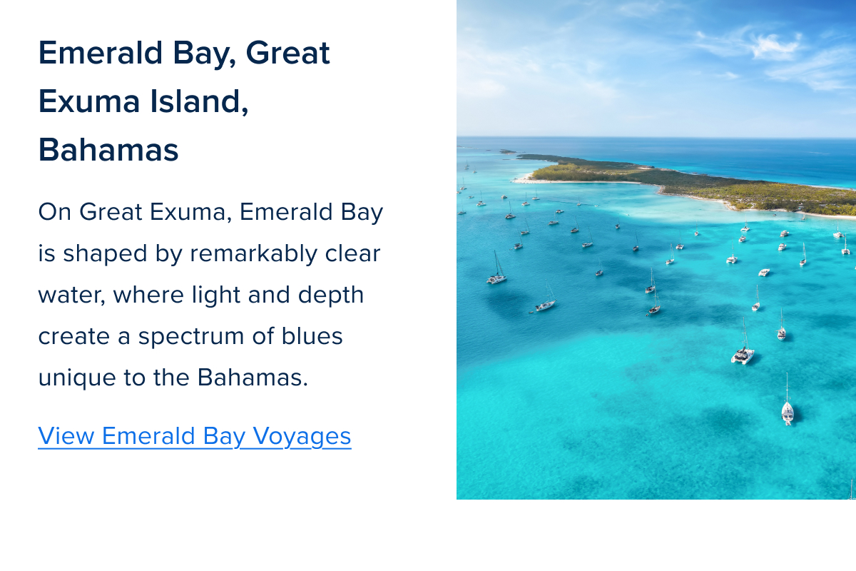 Zig Zag Component 2-Apr-09-2026-02-17-37-1782-PM