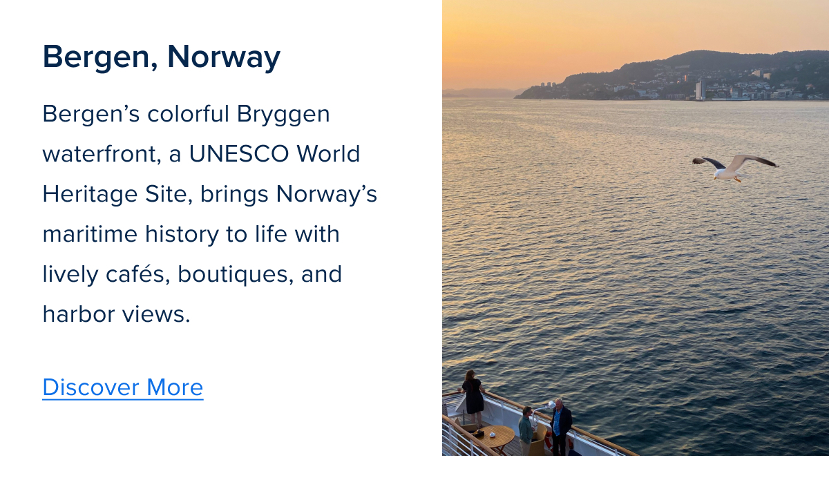 Zig Zag Component 2-Mar-23-2026-01-47-12-3062-PM