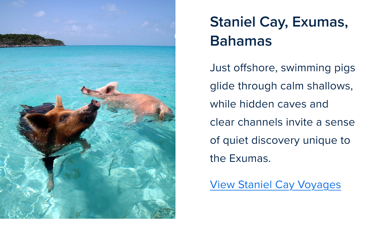 Zig Zag Component 3-Apr-09-2026-02-17-37-1778-PM