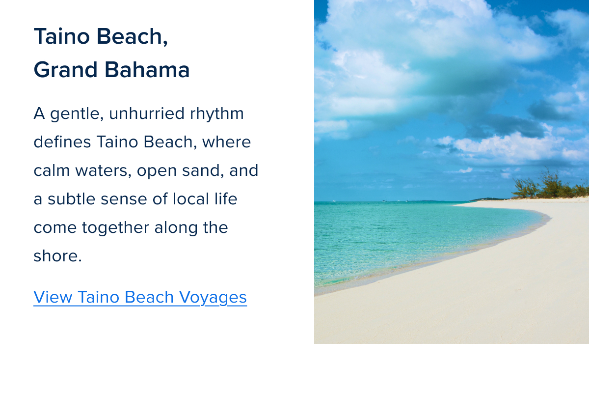 Zig Zag Component 4-Apr-09-2026-02-17-37-2015-PM