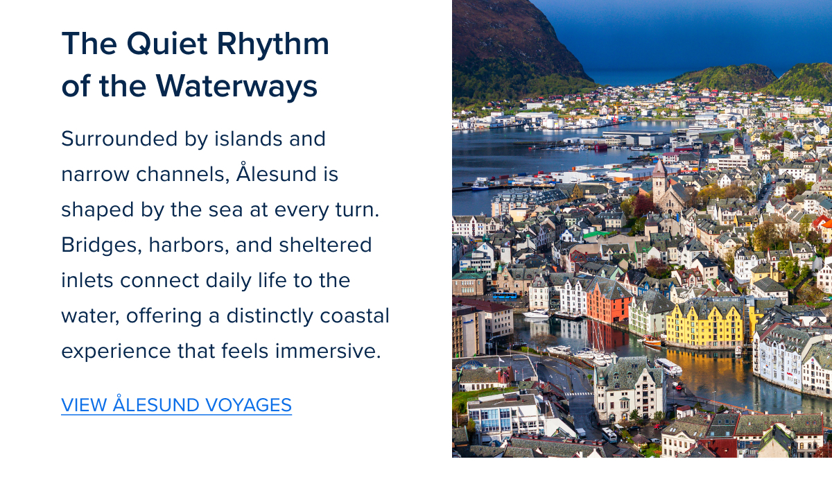 Zig Zag Component 4-Jan-13-2026-08-21-39-4272-PM